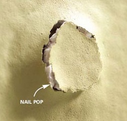 Problems associated with the use of green lumber: Nail pop