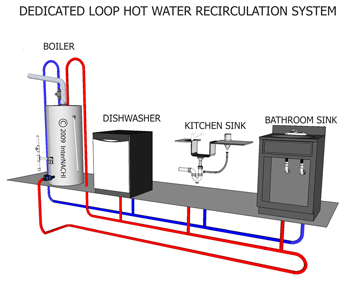 Dedicated loop hot water recirculation system