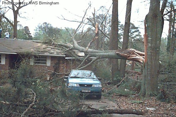 This photo shows the aftermath of an EF0 storm, the classification for the weakest tornado.