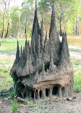 Yes, this fortress was made by thousands of termites, but it is not evidence that any of them have entered your house.