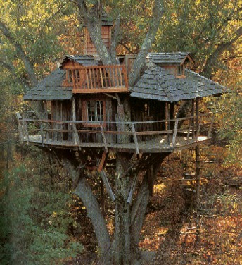 Builddream House on Tree House Log Tree House