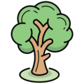 Image of grown tree