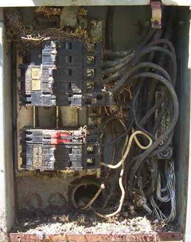 An unfortunate snake entered this serice panel and was electrocuted. The resulting mess may make the components defective.